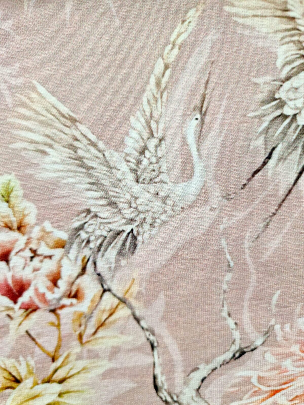 Jaapani kured (lipsuga)