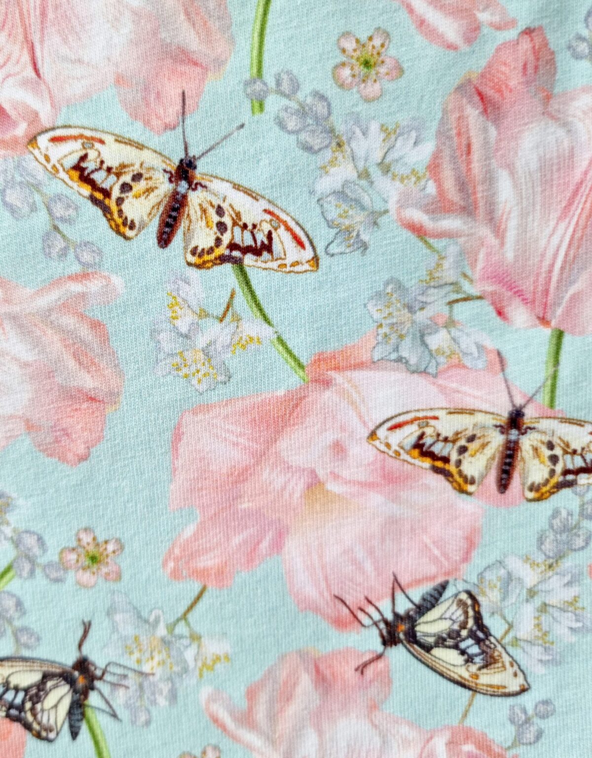 Liblikad mündil (lipsuga)