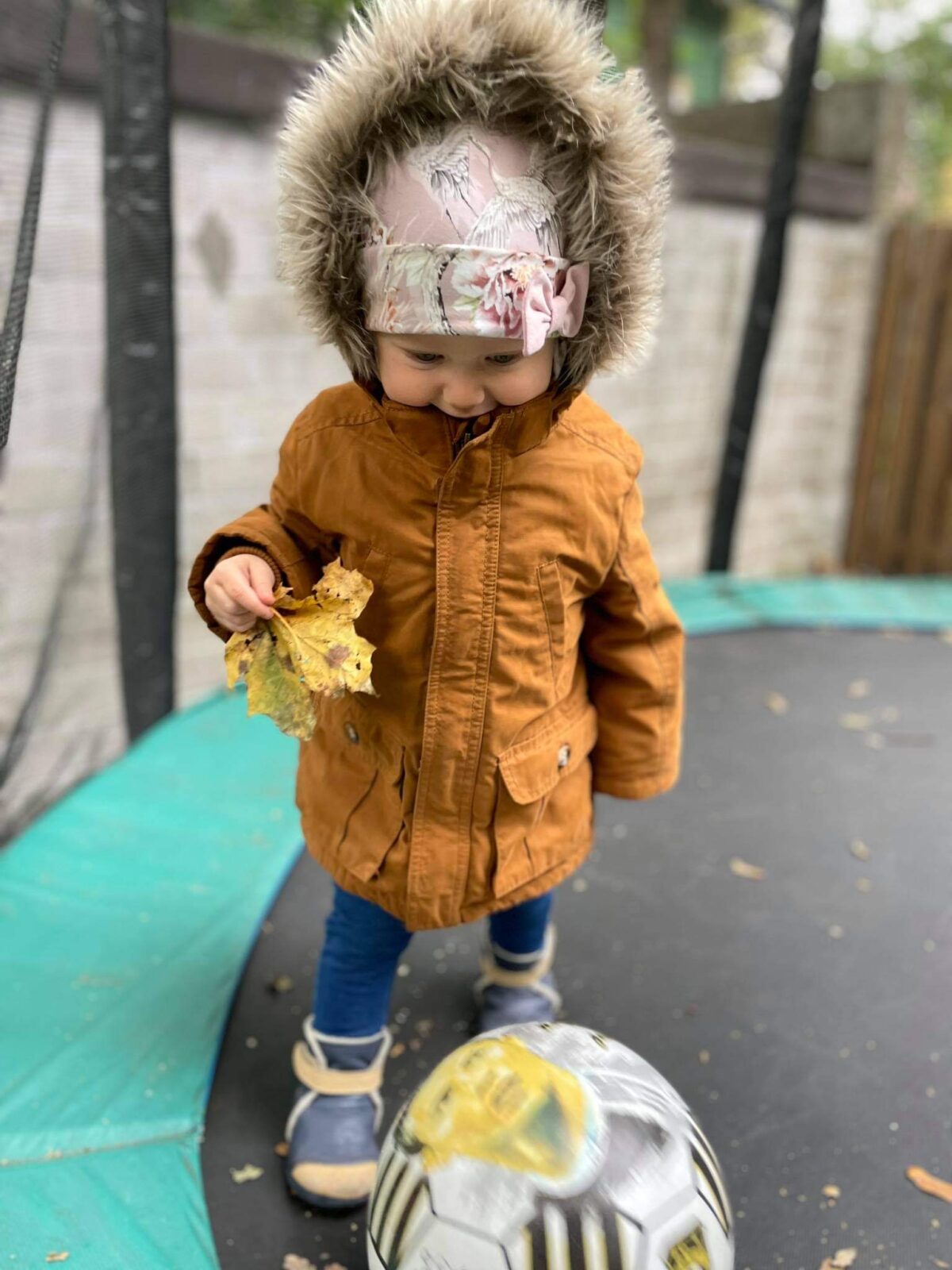 Jaapani kured (lipsuga)