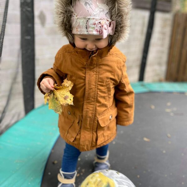 Jaapani kured (lipsuga)