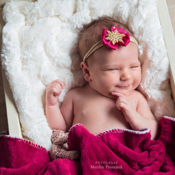 _MP_7589 Jõulupeapael sädeleva lumehelbega