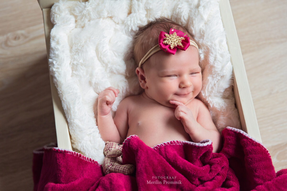 _MP_7589 Jõulupeapael sädeleva lumehelbega