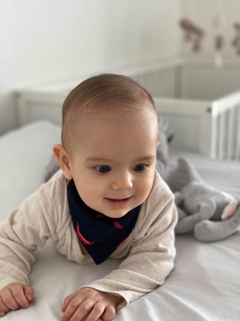 received_184304236146754 Tšilli