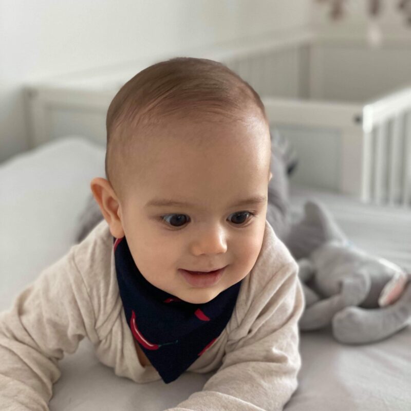 received_184304236146754 Tšilli