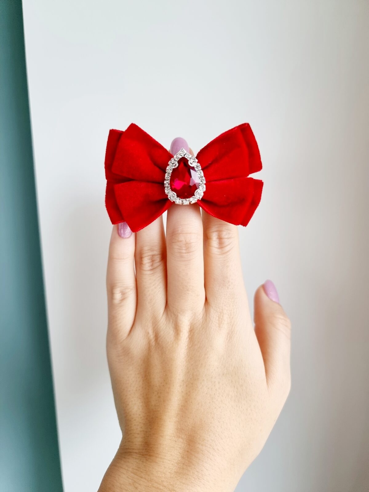 20211105_104722 Patsikumm sametist läikiva kiviga