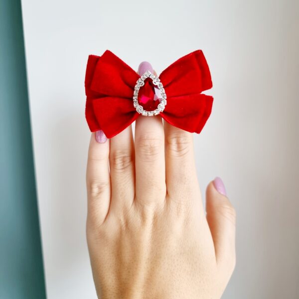 20211105_104722 Patsikumm sametist läikiva kiviga