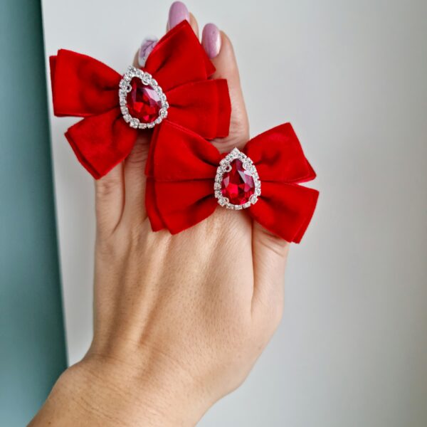 20211108_110759 Patsikumm sametist läikiva kiviga