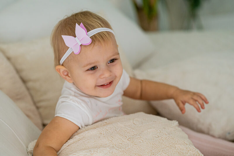 Photo13 Roosa liblikas