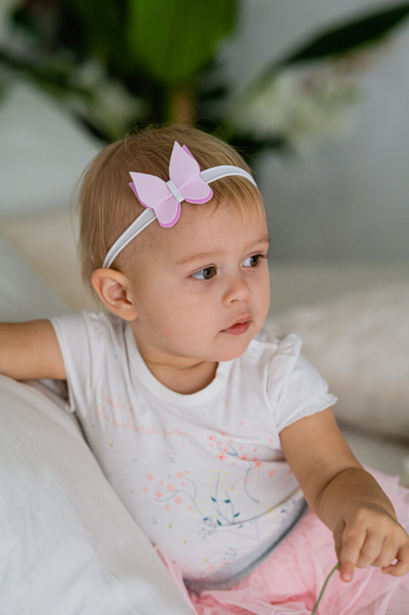 Photo14 Roosa liblikas