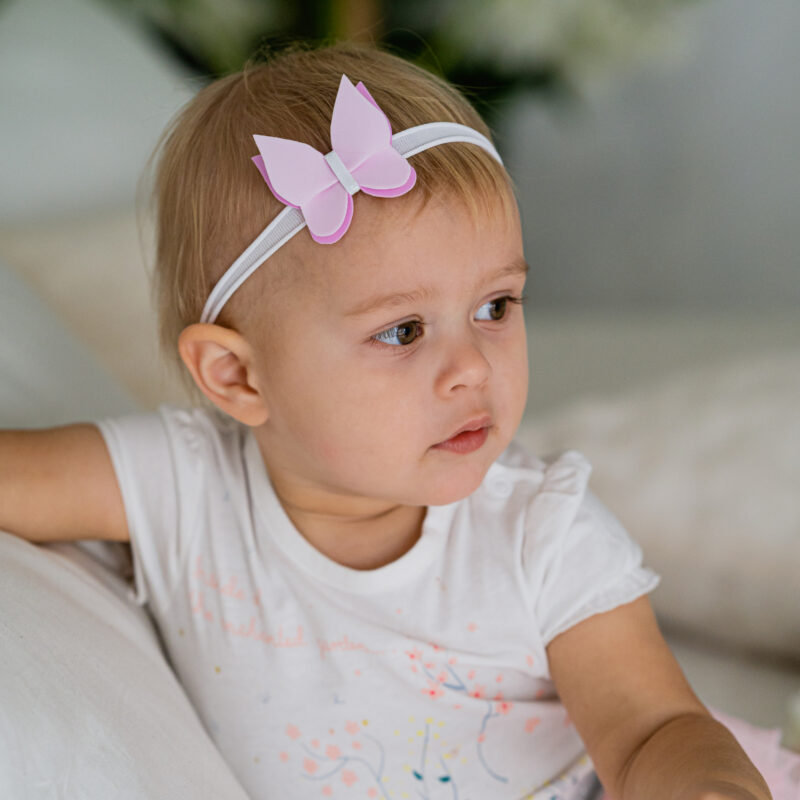 Photo14 Roosa liblikas