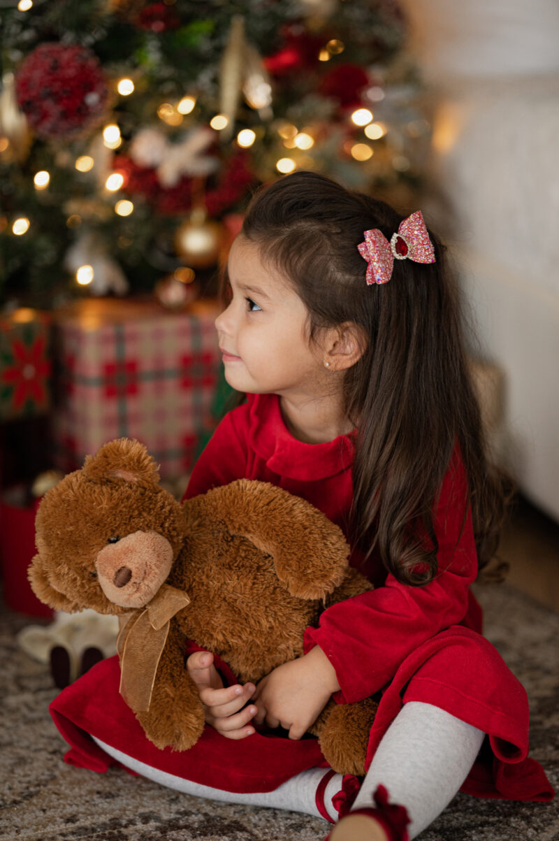 Photo256 Kroko-klamber punane punase kiviga