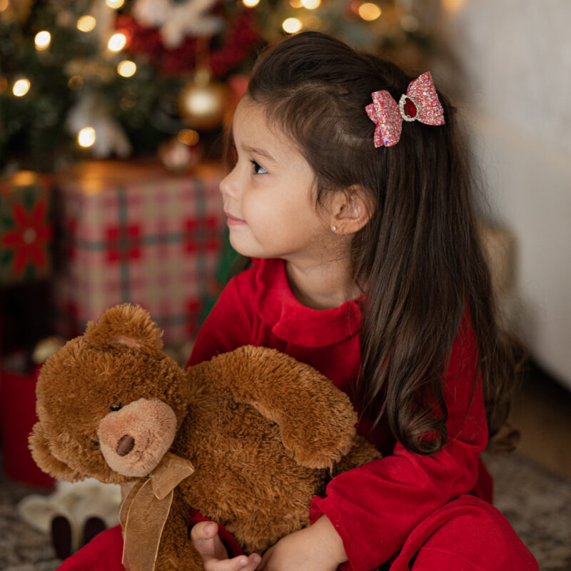 Photo256 Kroko-klamber punane punase kiviga