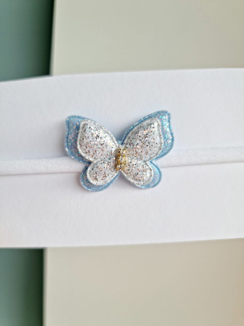 20211202_121501 Läikiv liblikas helesinine