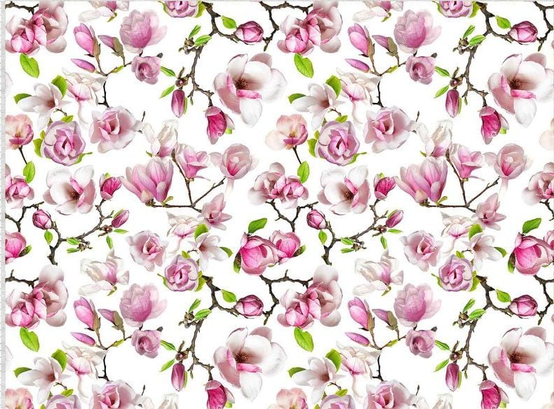 Magnooliad (lipsuga)