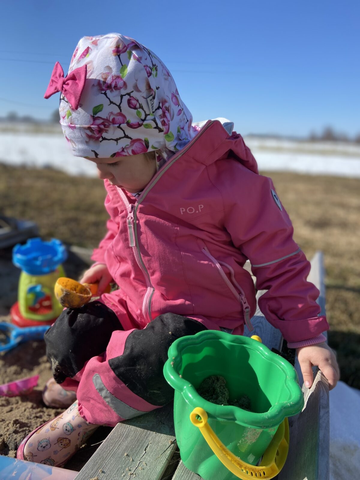 Magnooliad (lipsuga)