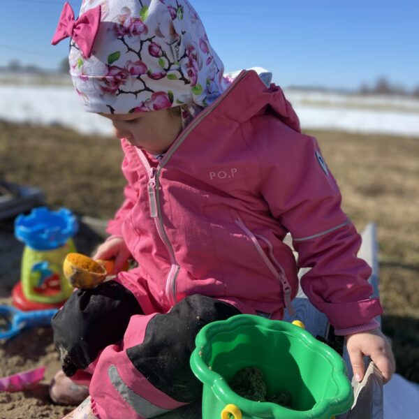 Magnooliad (lipsuga)