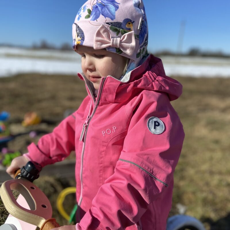 Linnukesed (lipsuga)