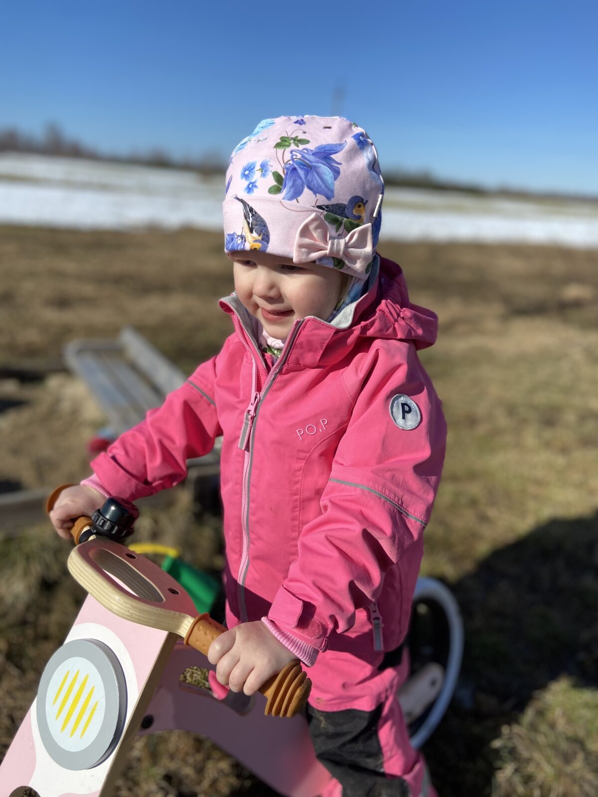 Linnukesed (lipsuga)