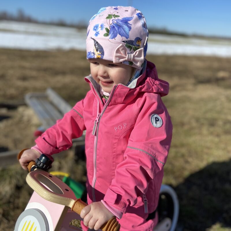 Linnukesed (lipsuga)