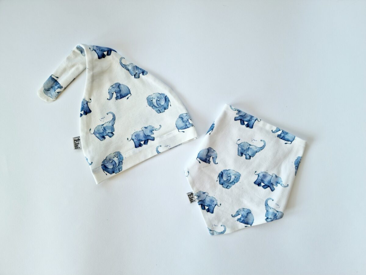 20220422_132536 Elevandid