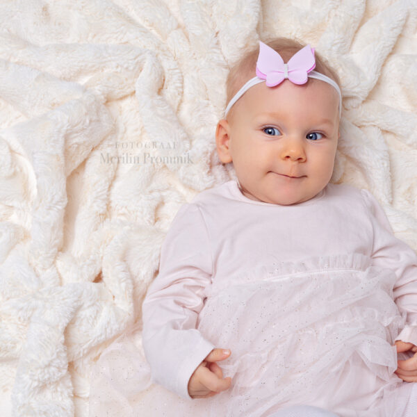 _MP_6144-Edit Roosa liblikas