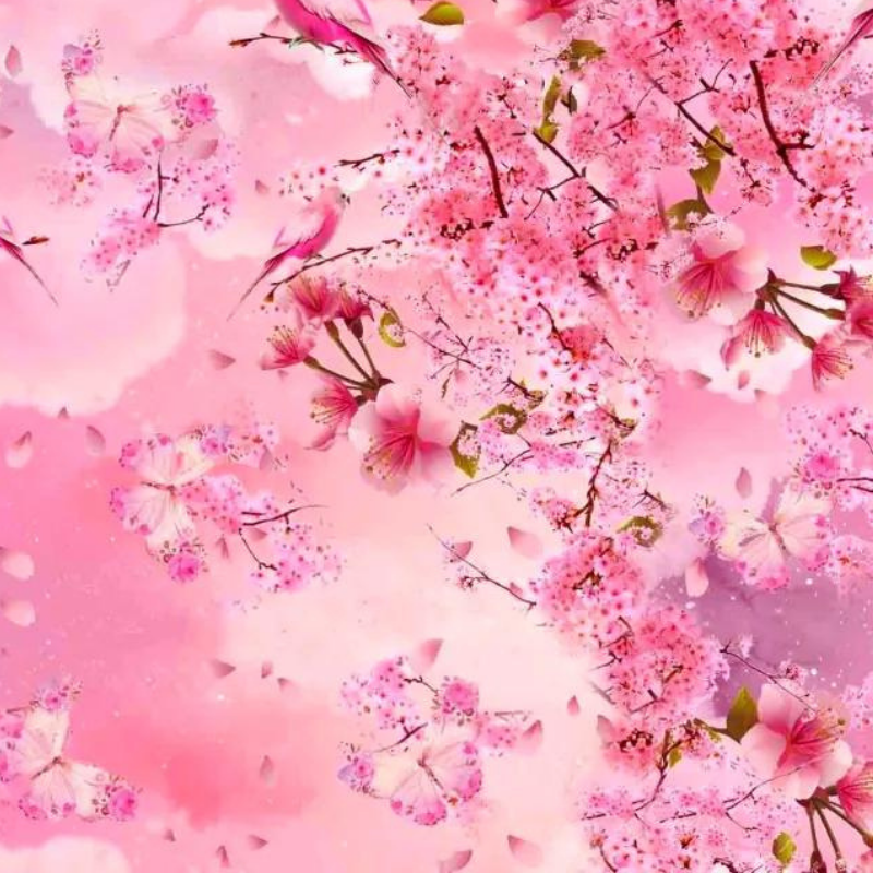 Kangad (3) Roosad papagoid