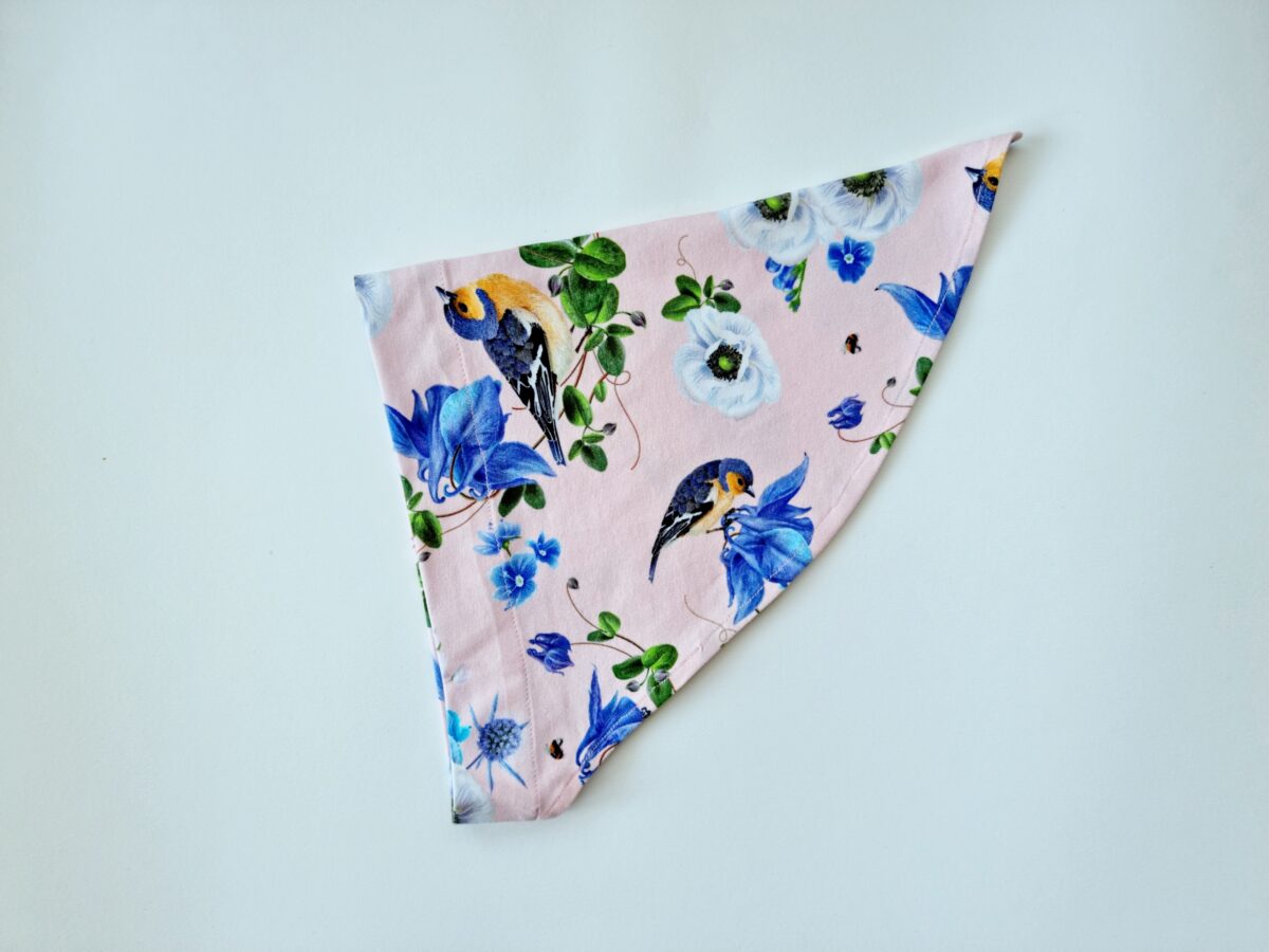 20220617_140111 (1) Pearätt linnukesed lipsuga