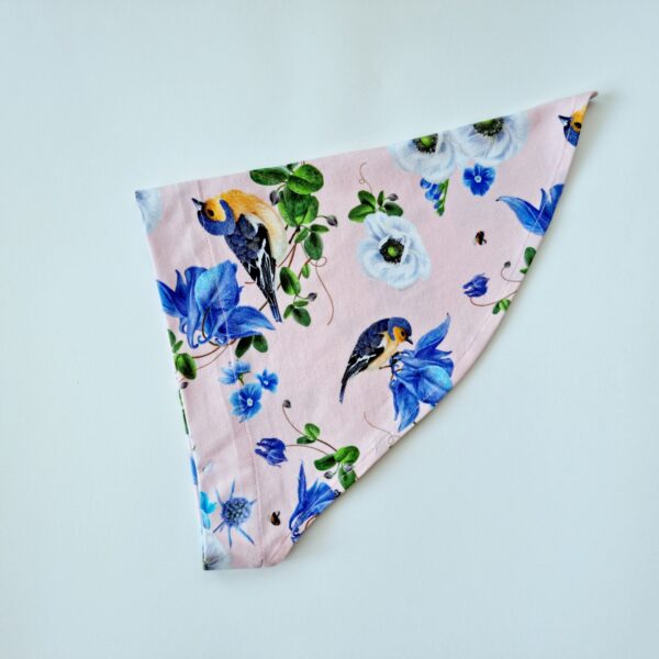 20220617_140111 (1) Pearätt linnukesed lipsuga