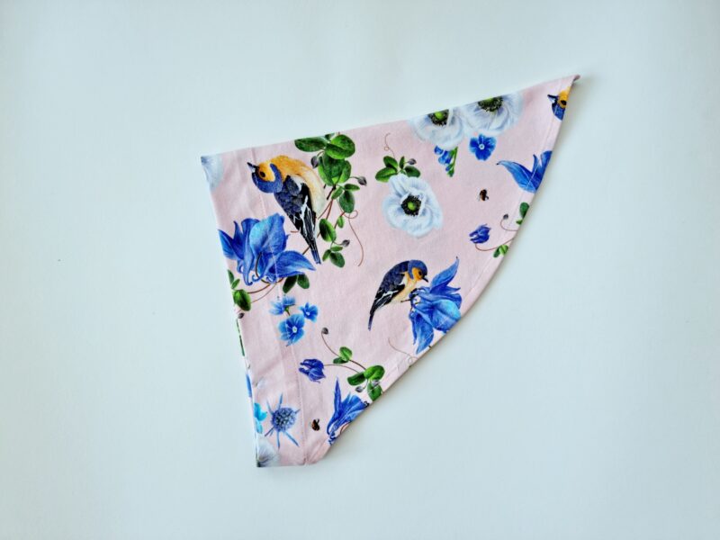 Pearätt linnukesed lipsuga