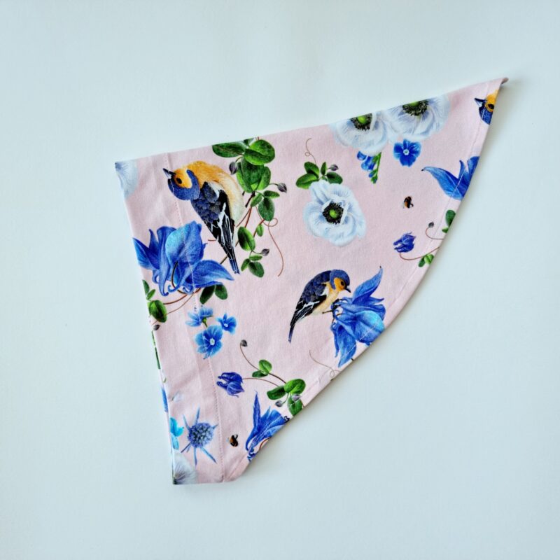 Pearätt linnukesed lipsuga