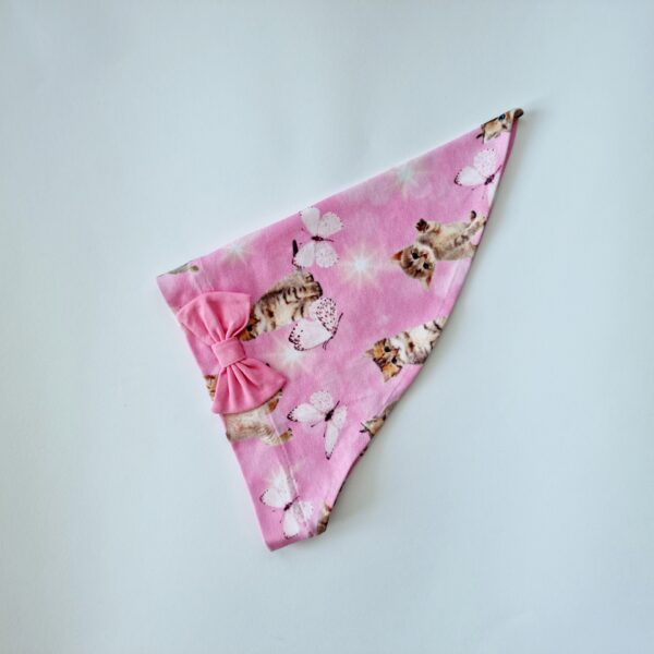 Pearätt kiisud lipsuga