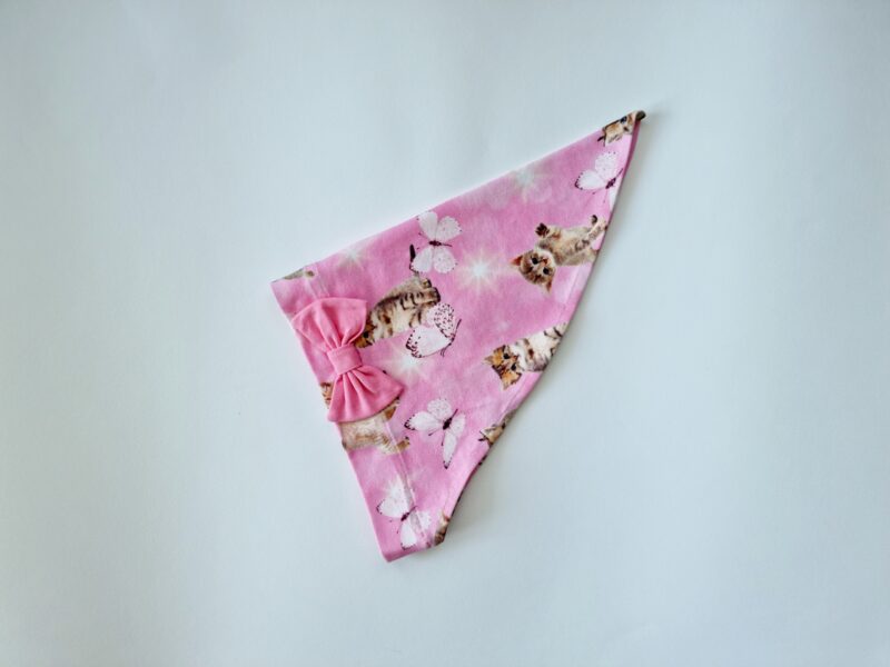 Pearätt kiisud lipsuga