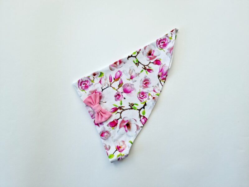 Pearätt magnooliad lipsuga