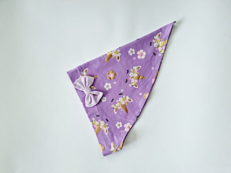 Pearätt ükssarvikud