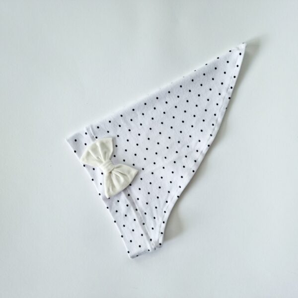 Pearätt täpid lipsuga