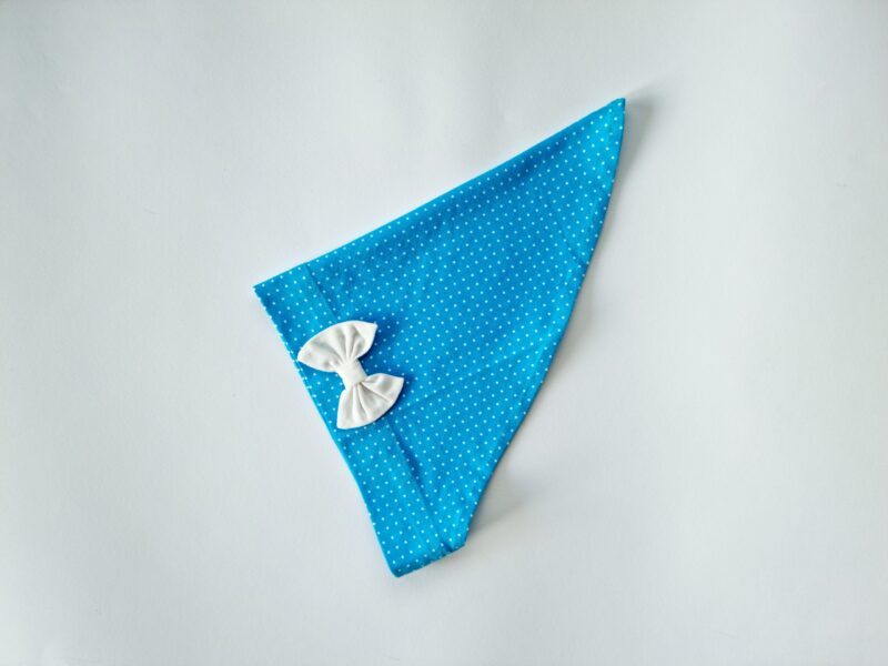 Pearätt sinisel valged täpid lipsuga