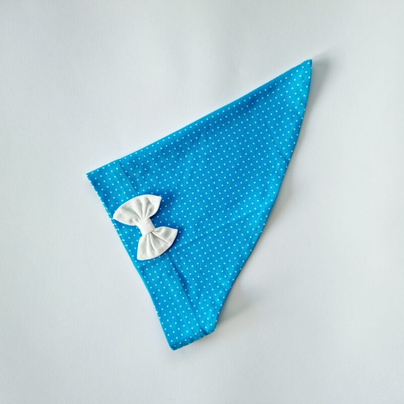 Pearätt sinisel valged täpid lipsuga