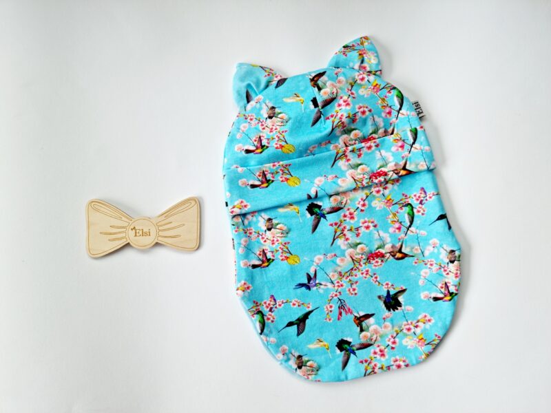 20220808_115412 Sinisel koolibrid (kõrvadega)