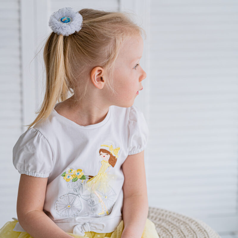 Patsikumm läikivad liblikad