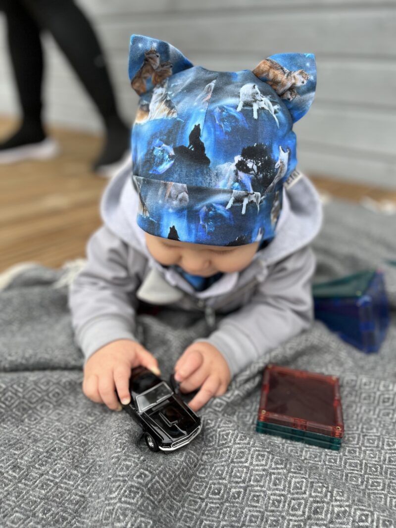 Hundid2 Hundid (kõrvadega)