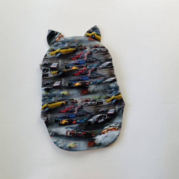 IMG_4186 Ralliautod (fliisvoodriga)