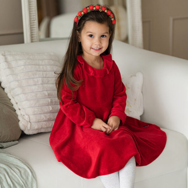 Photo208 Punaste lilledega peavõru