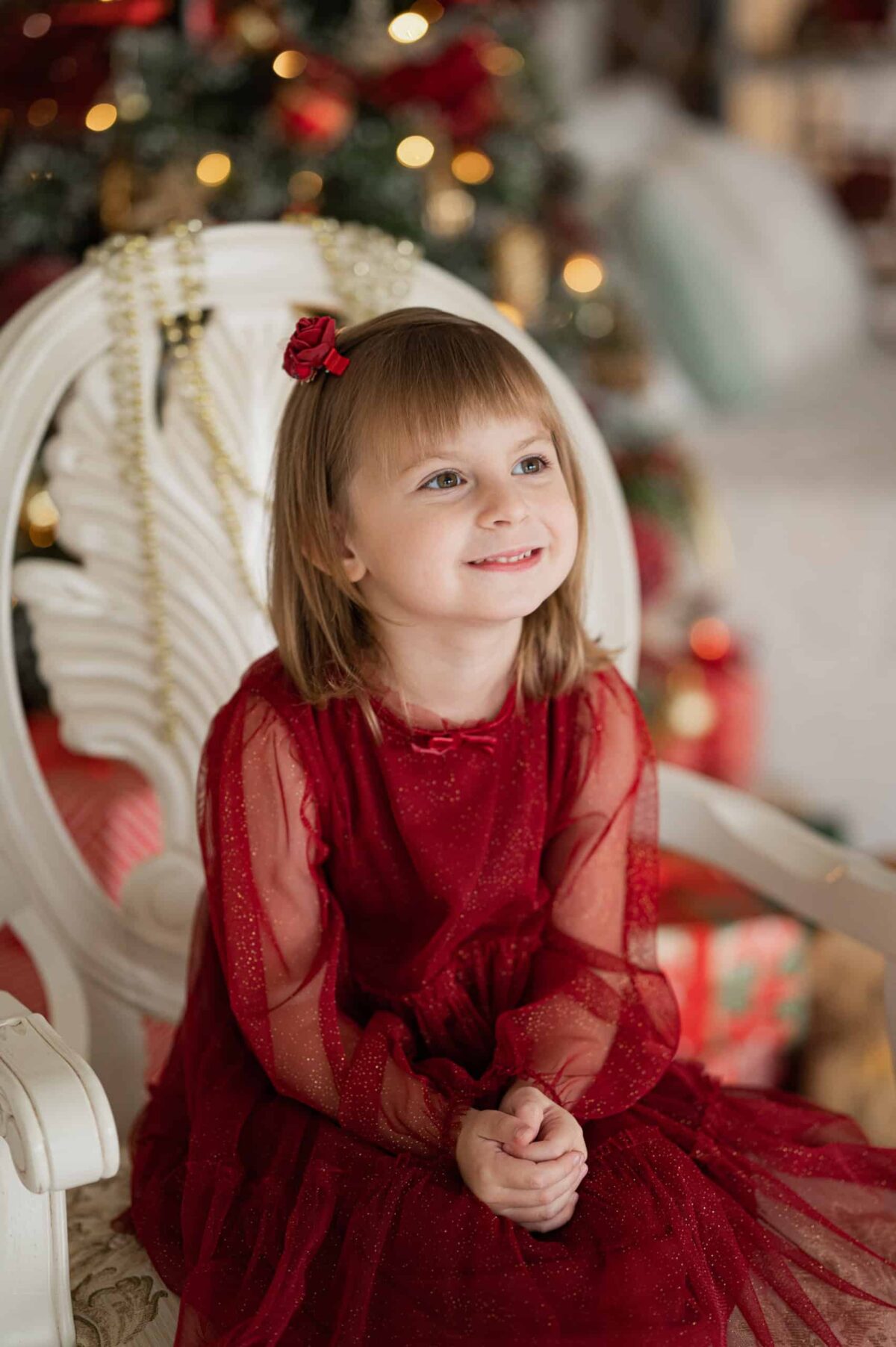 Photo213 Kroko-klamber lilledega tumepunane