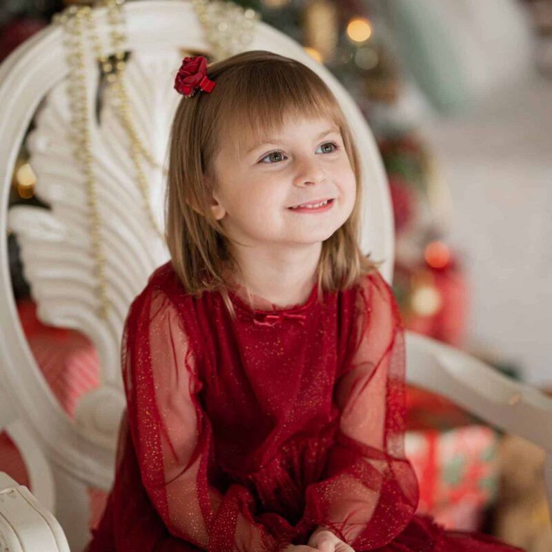 Photo213 Kroko-klamber lilledega tumepunane