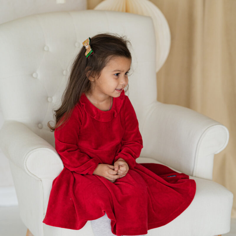 Kroko-klamber jõulutoonides