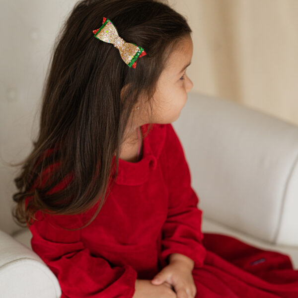 Photo239 Kroko-klamber jõulutoonides