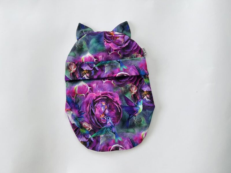 Koolibrid (kõrvadega)