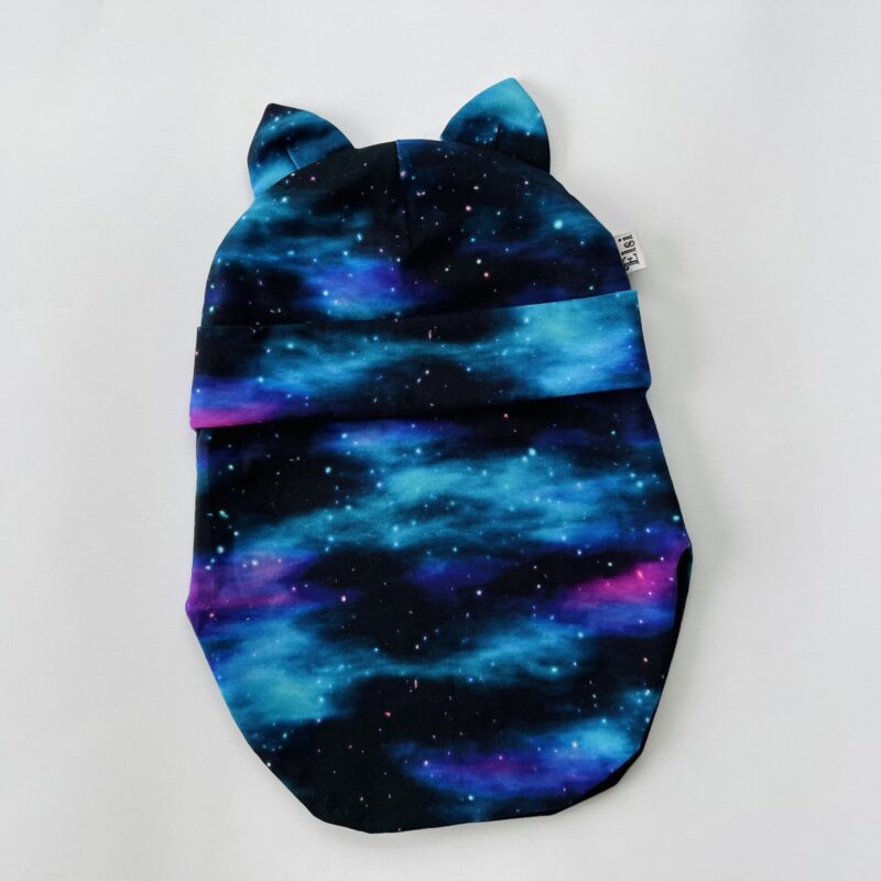 IMG_7239 Galaktika (kõrvadega)