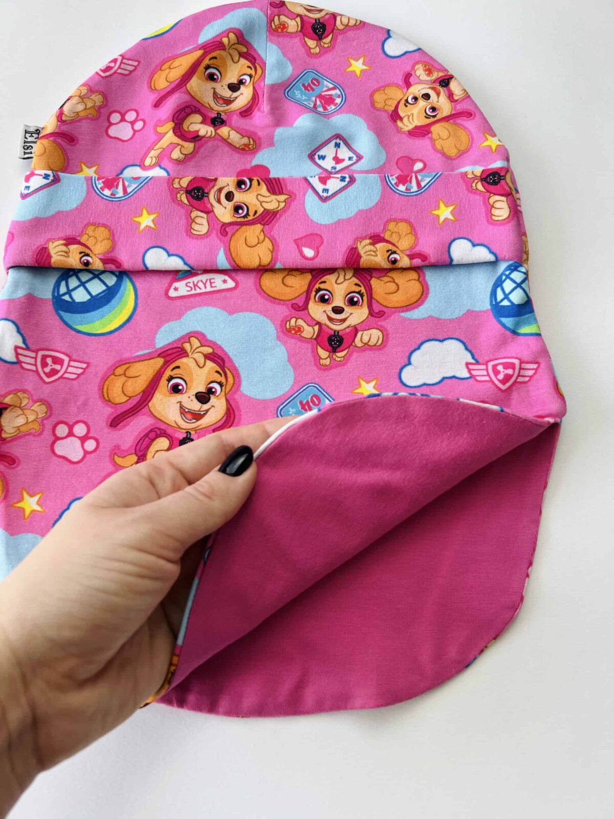 IMG_7615 Käpapatrull Sky