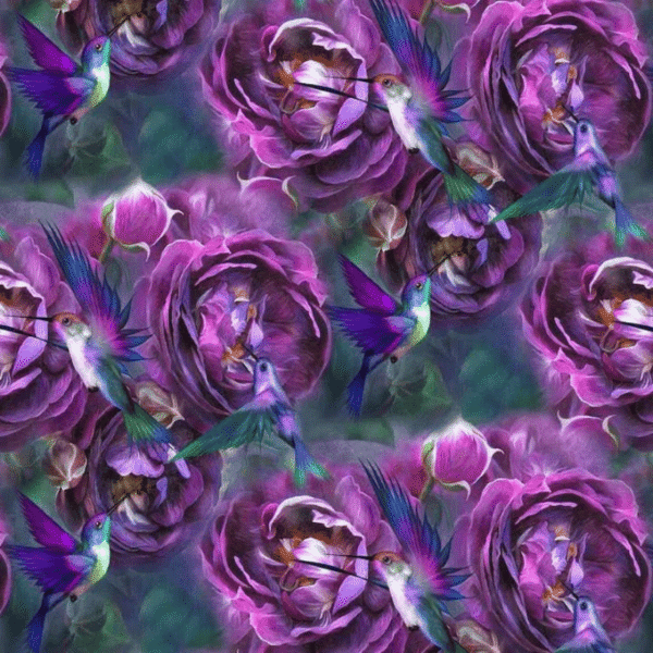 Kangad-4 (1) Koolibri